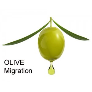 Olive-Migration...